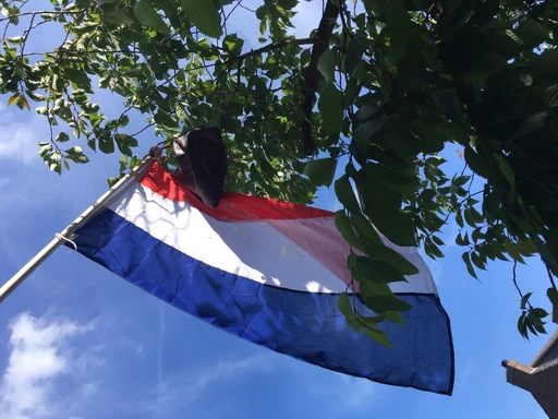 nws.304.geslaagd_vlag.webp